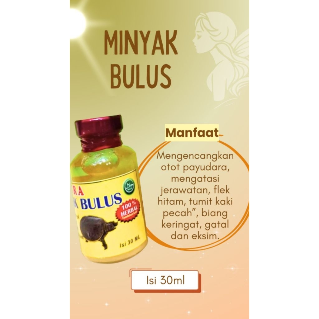 Minyak Bulus 30 ml