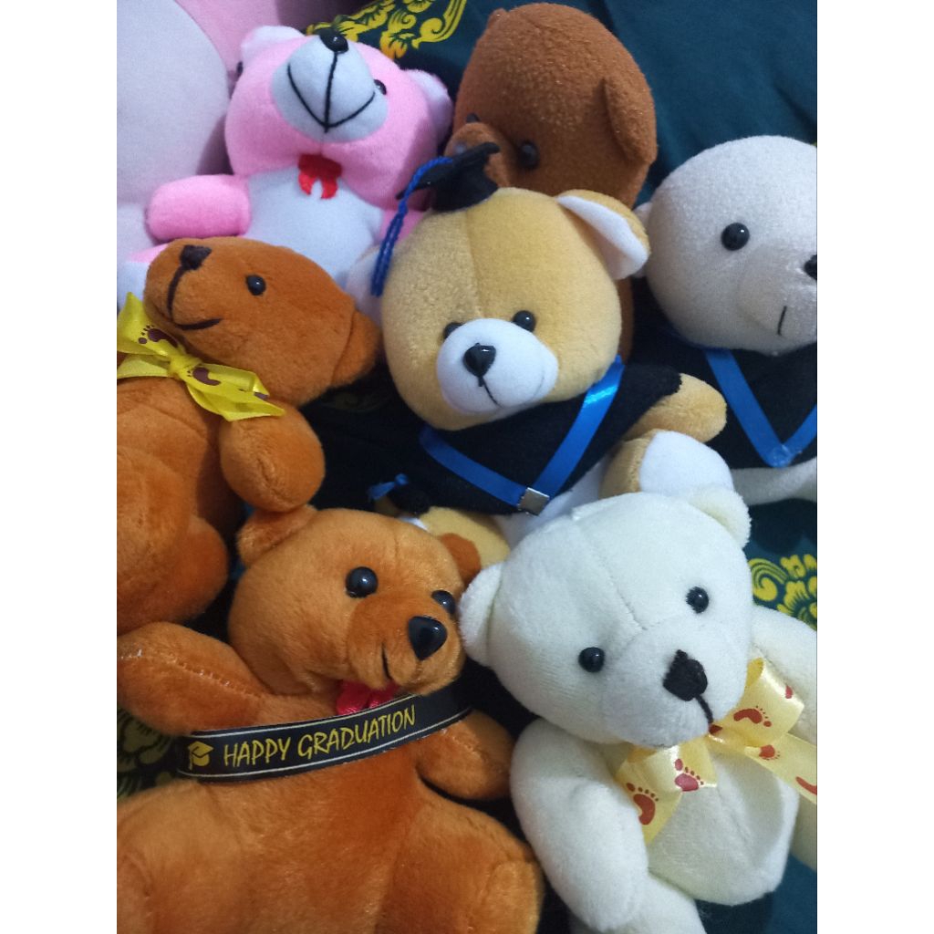 Boneka teddy wisuda