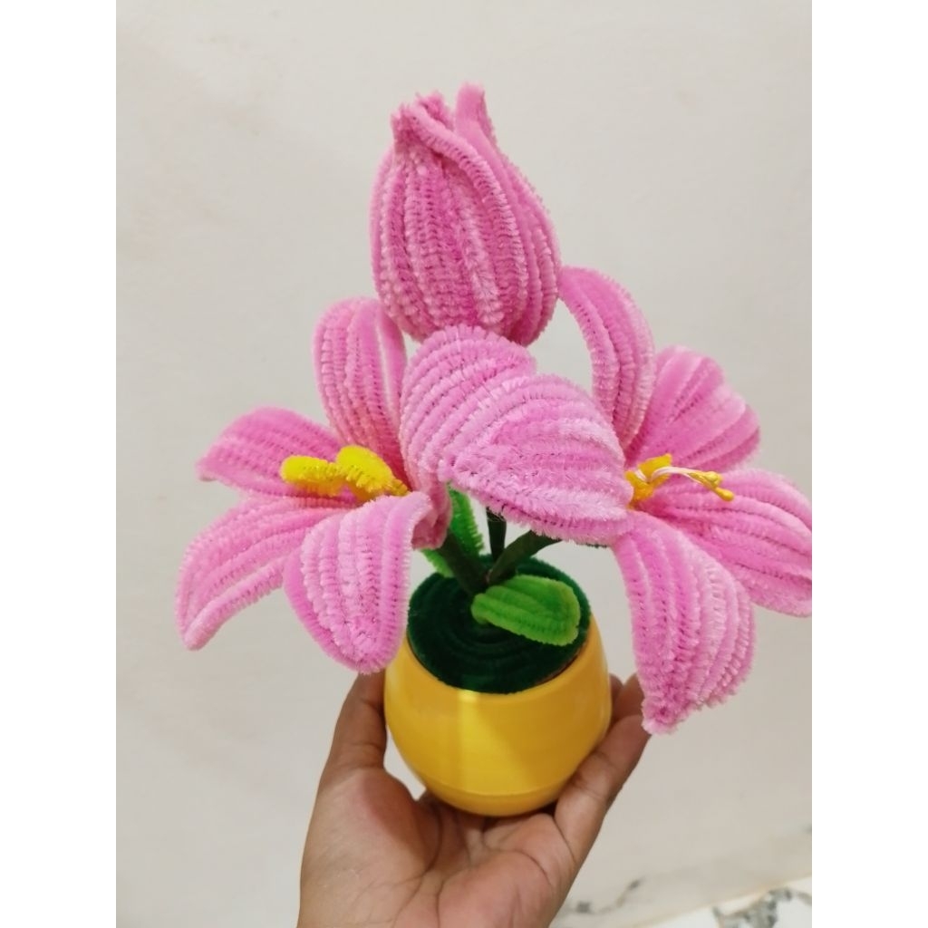 bunga hias cantik