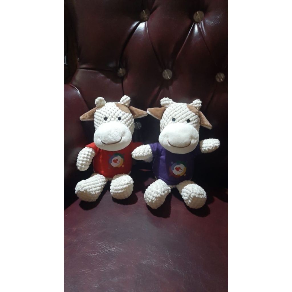 Dua Sapi