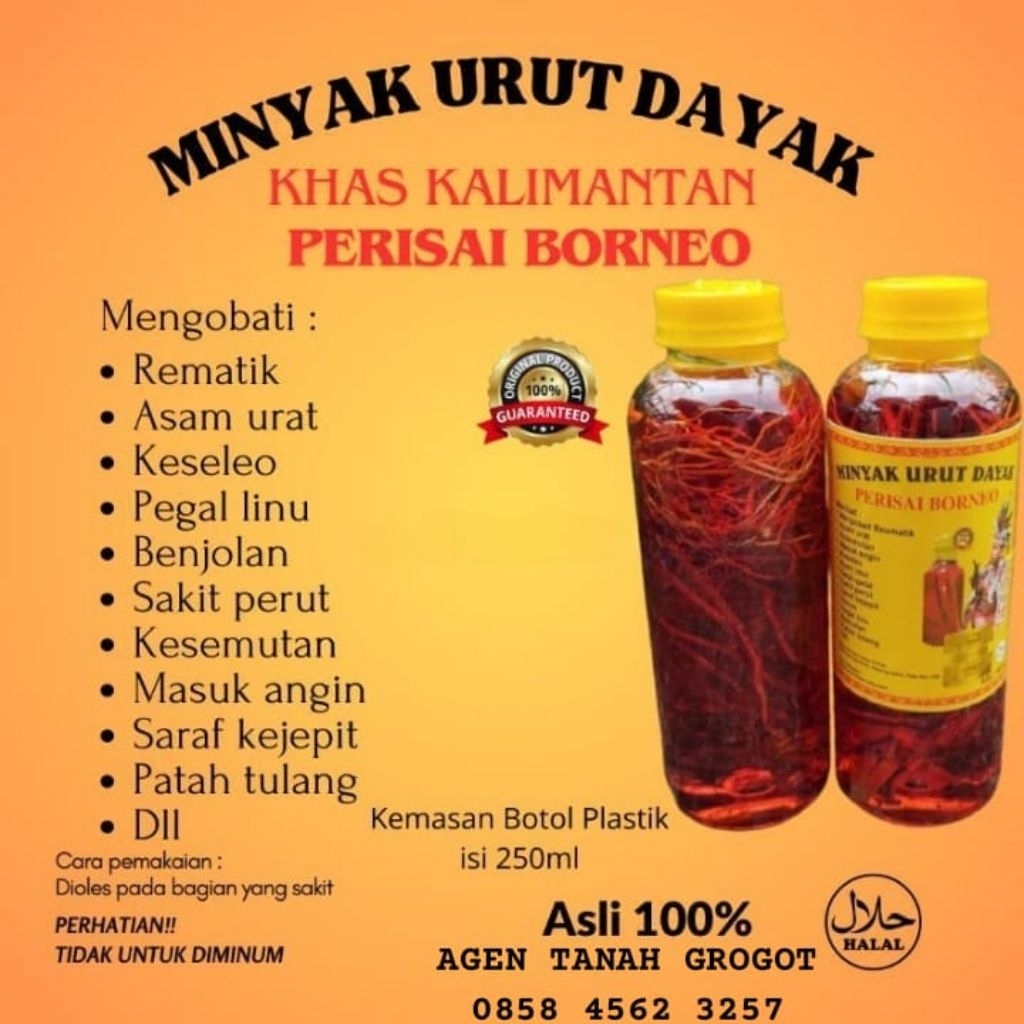 Minyak Urut Dayak