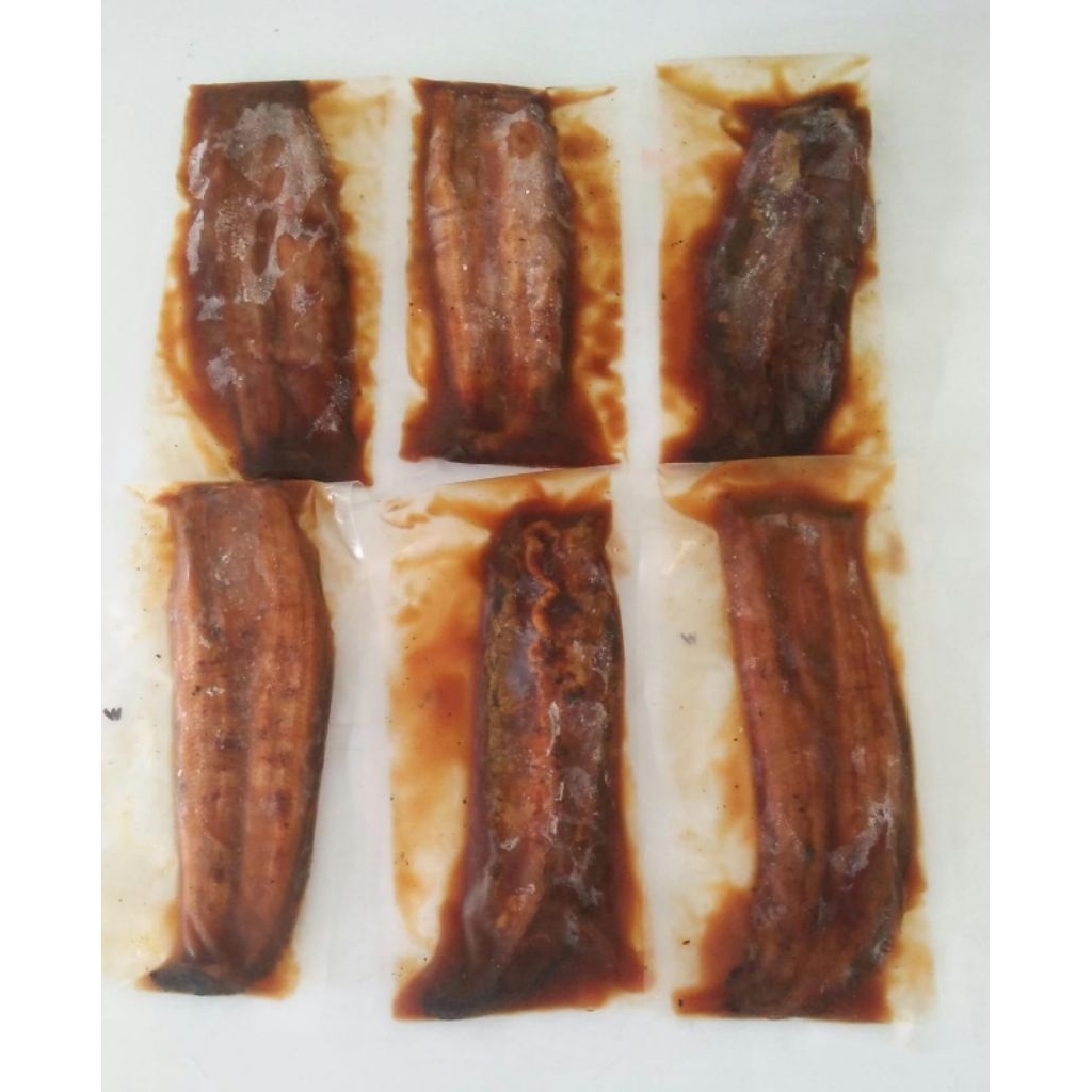 Unagi Kabayaki