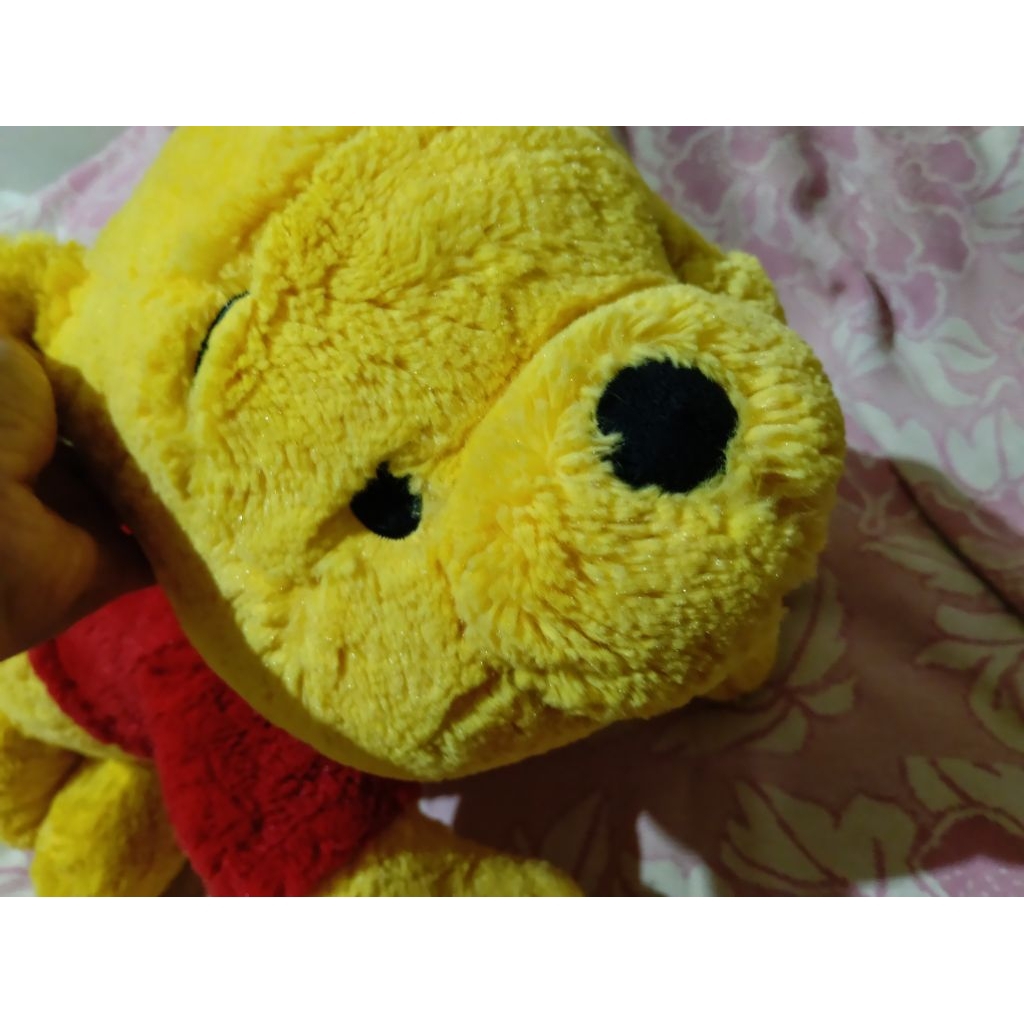 Winnie the Pooh