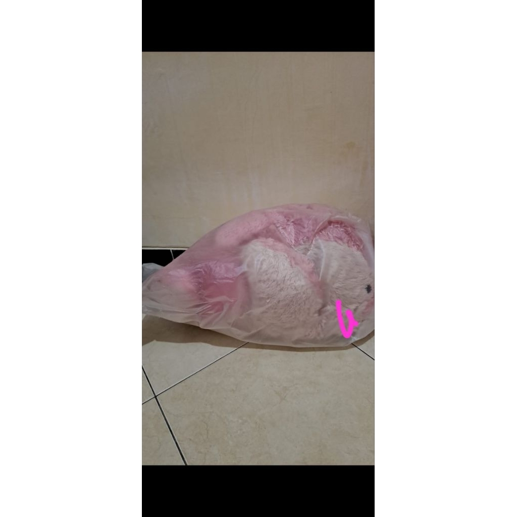 pl boneka teddy pink SURABAYA ONLY