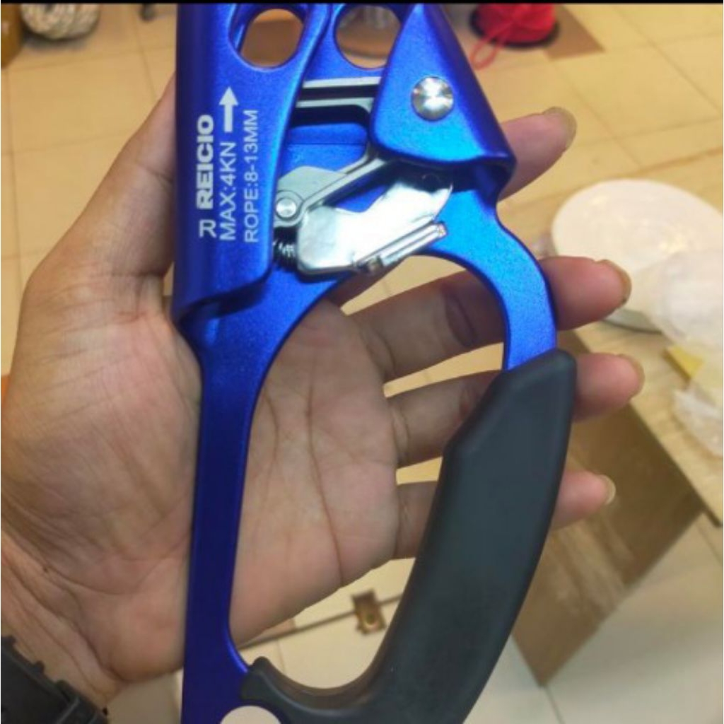 Ascander Reicio Jumar Climbing