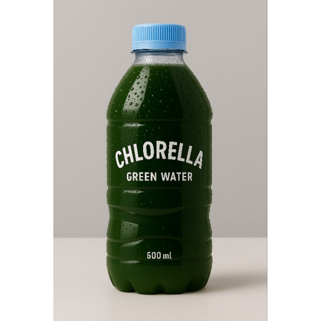 chlorella / green water / phytoplankton