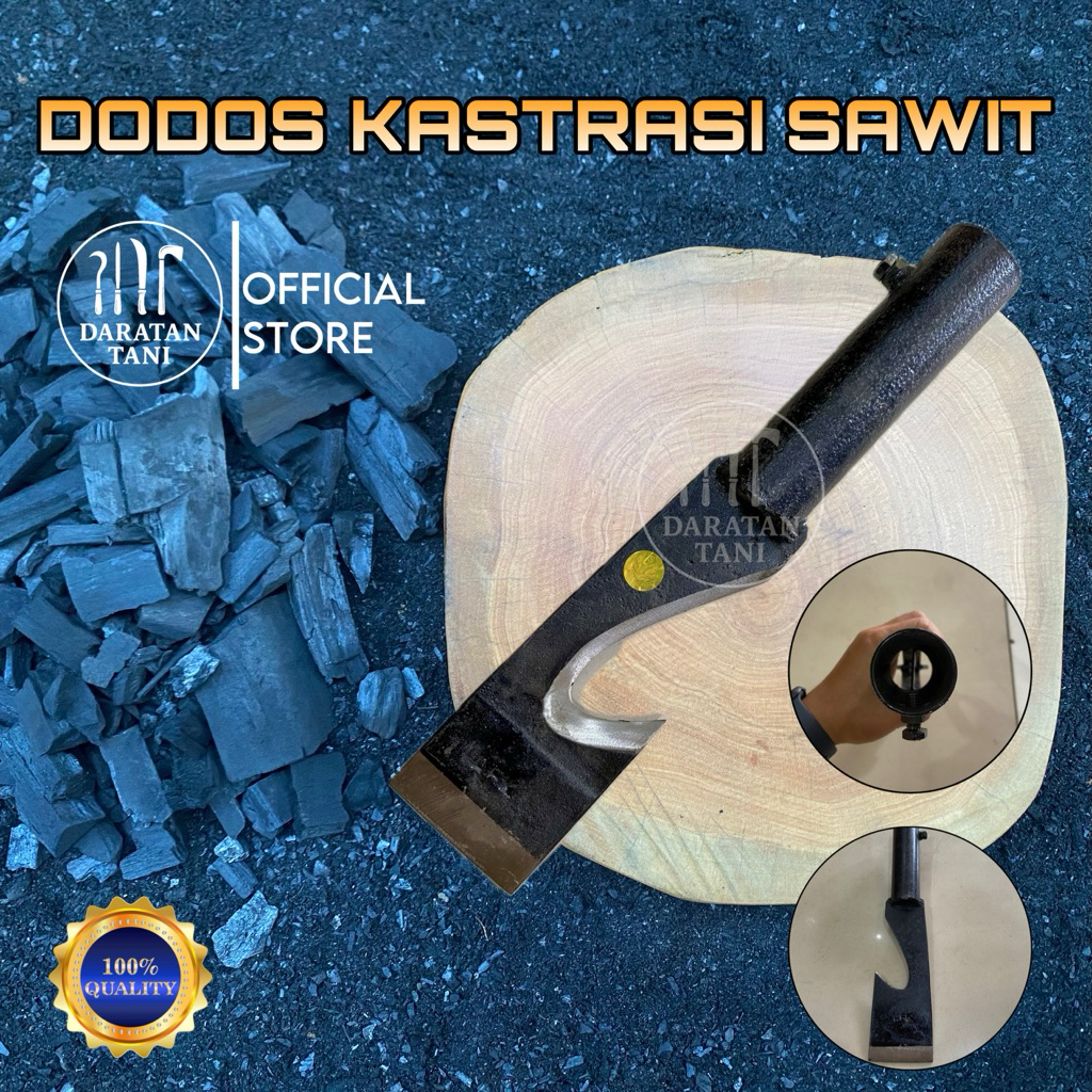 DODOS KASTRASI /DODOS SAWIT