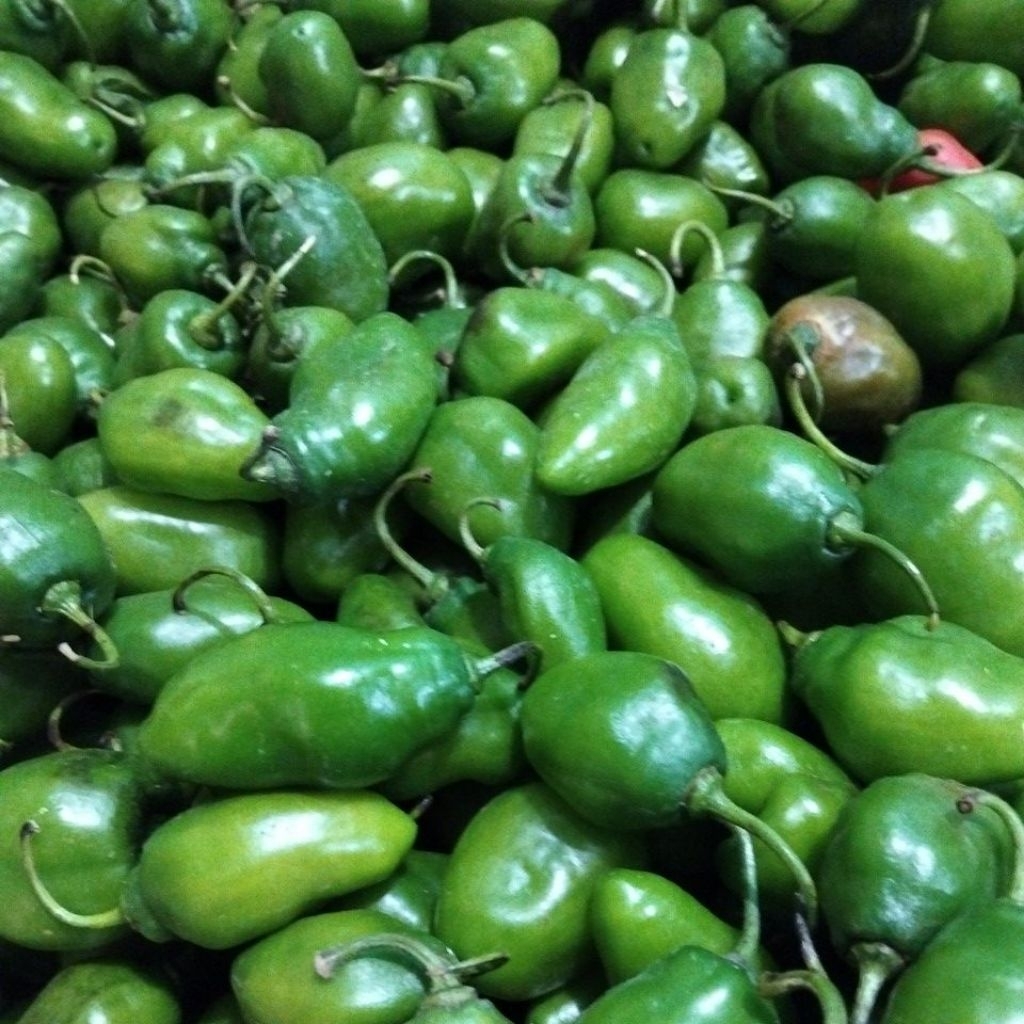 cabe gendot 200gram