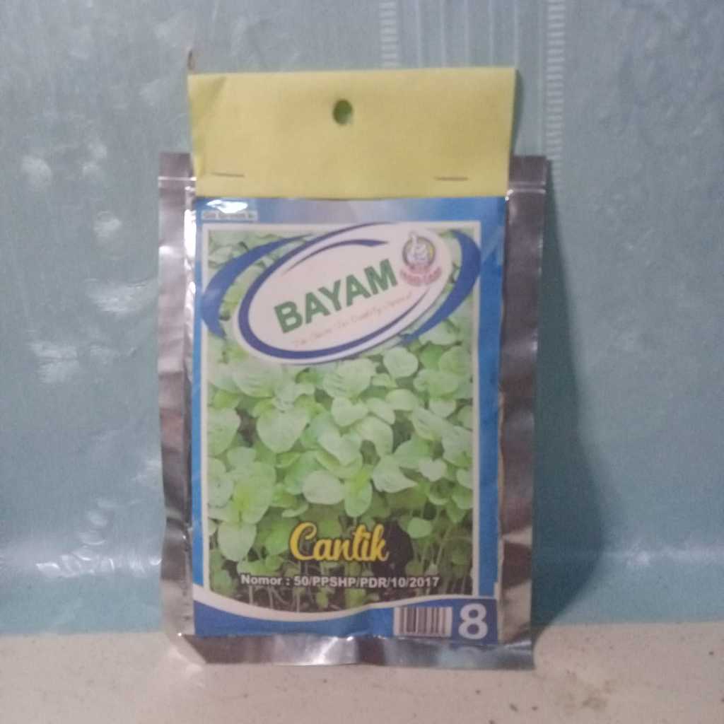 Benih Bayam Cantik