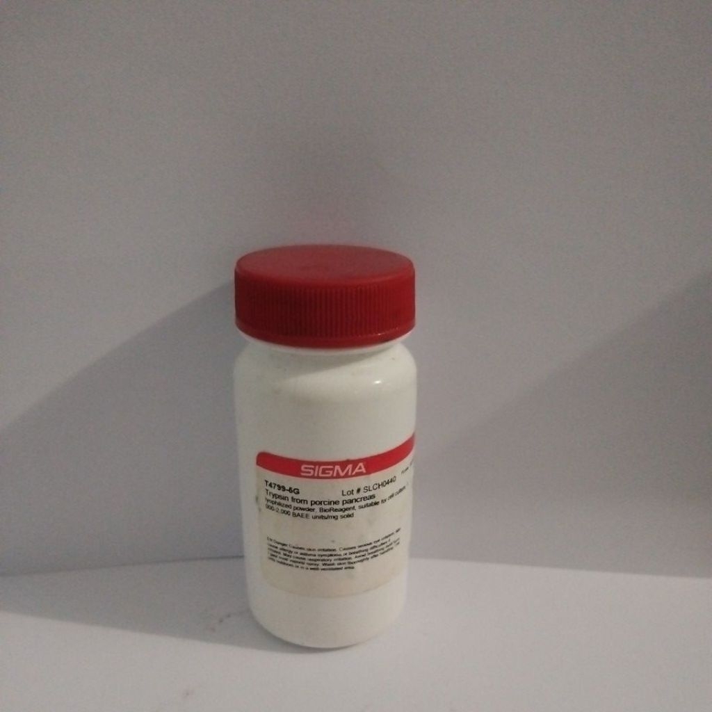 Trypsin sigma/Trypsin/Tripsin 100mg
