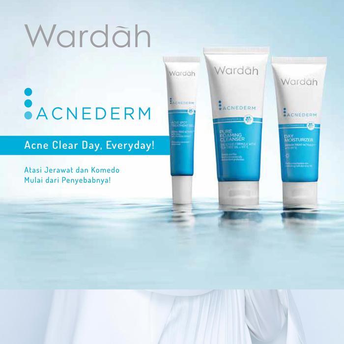 WARDAH ACNEDERM All Series