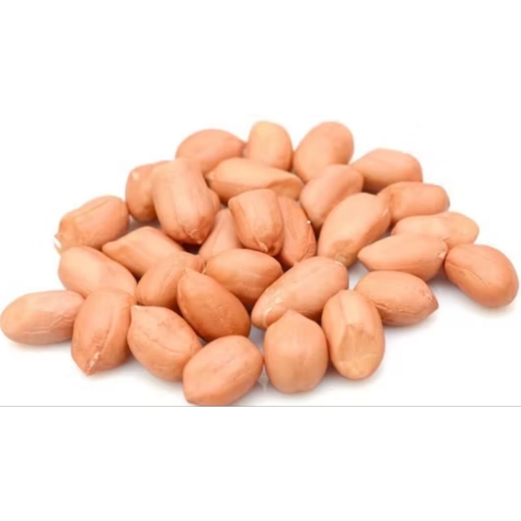 kacang tanah