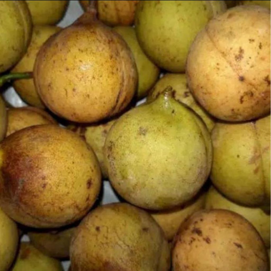 buah pala segar