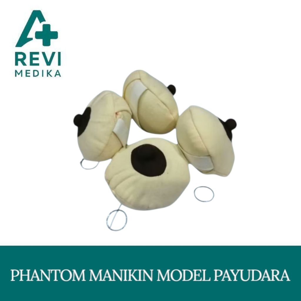 PHANTOM MANIKIN MODEL PAYUDARA /PUTING PAYUDARA