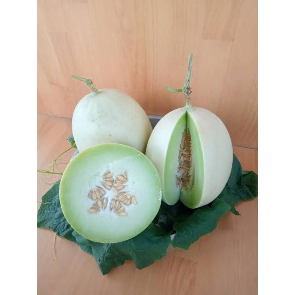 Melon Honey Putih(Per Butir)