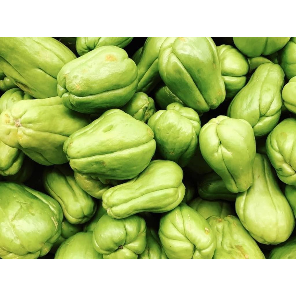 labu siam 500gram