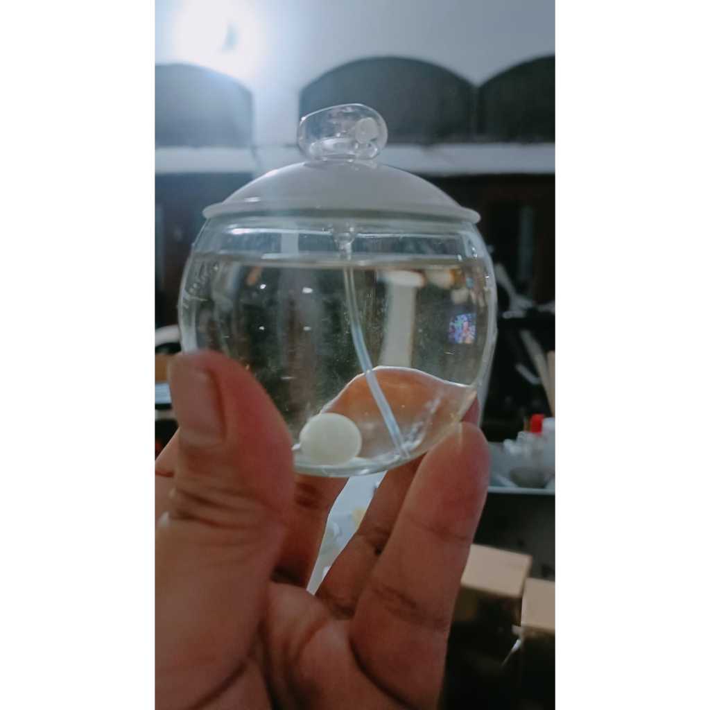 Preloved CR Noa EDT