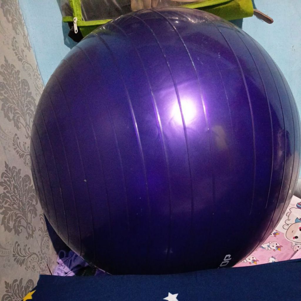 CO Cargo 5kg