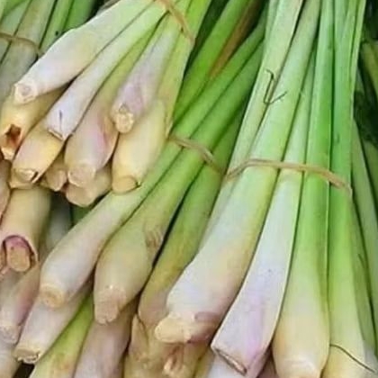 serai dapur /1kg