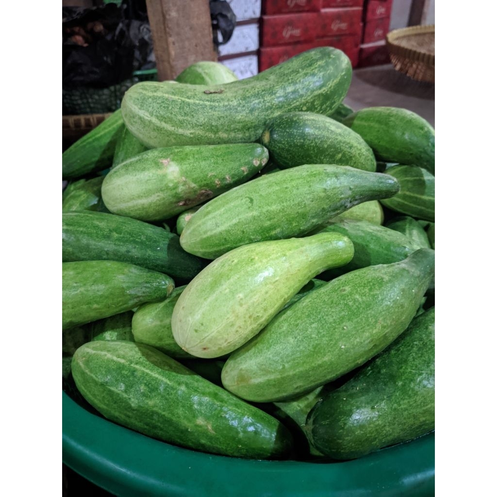 timun per 500 gram