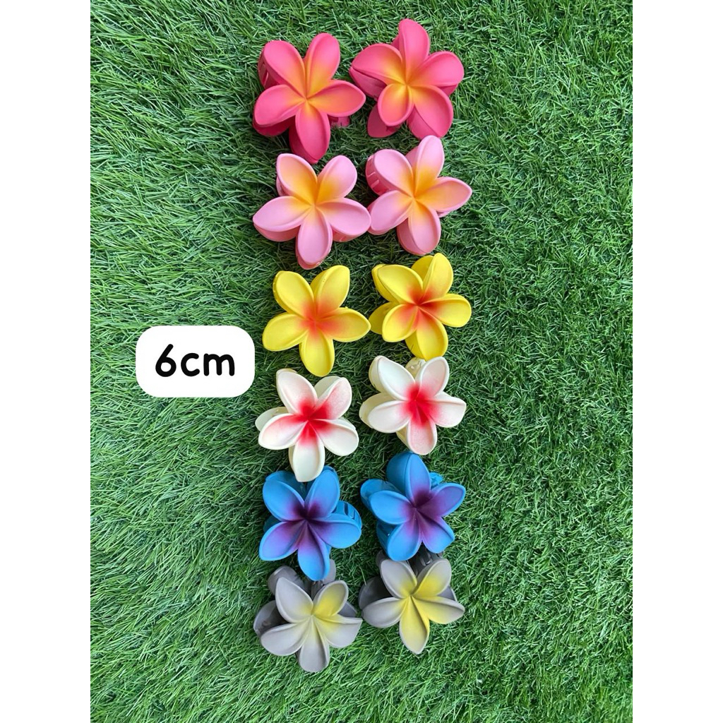 jepit rambut kemboja(6cm)