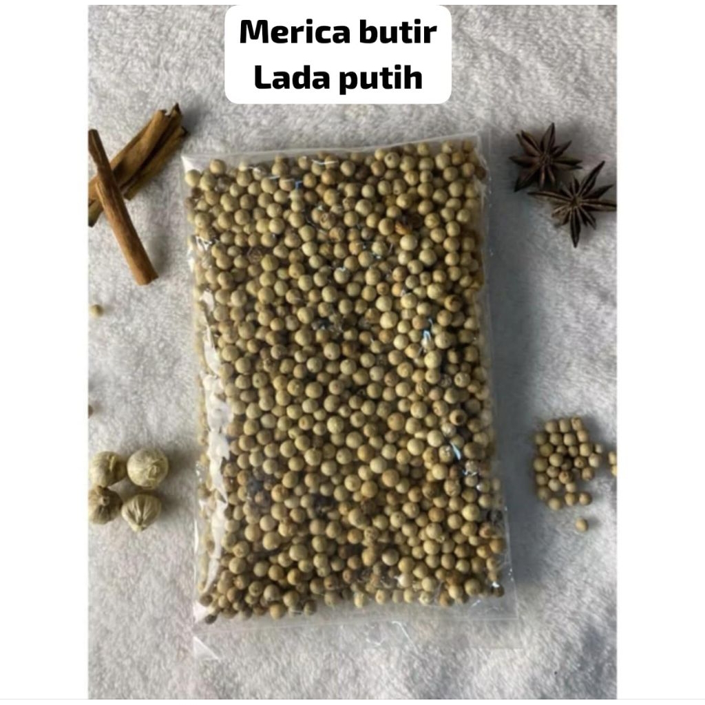 MERICA BUTIR LADA MURAH