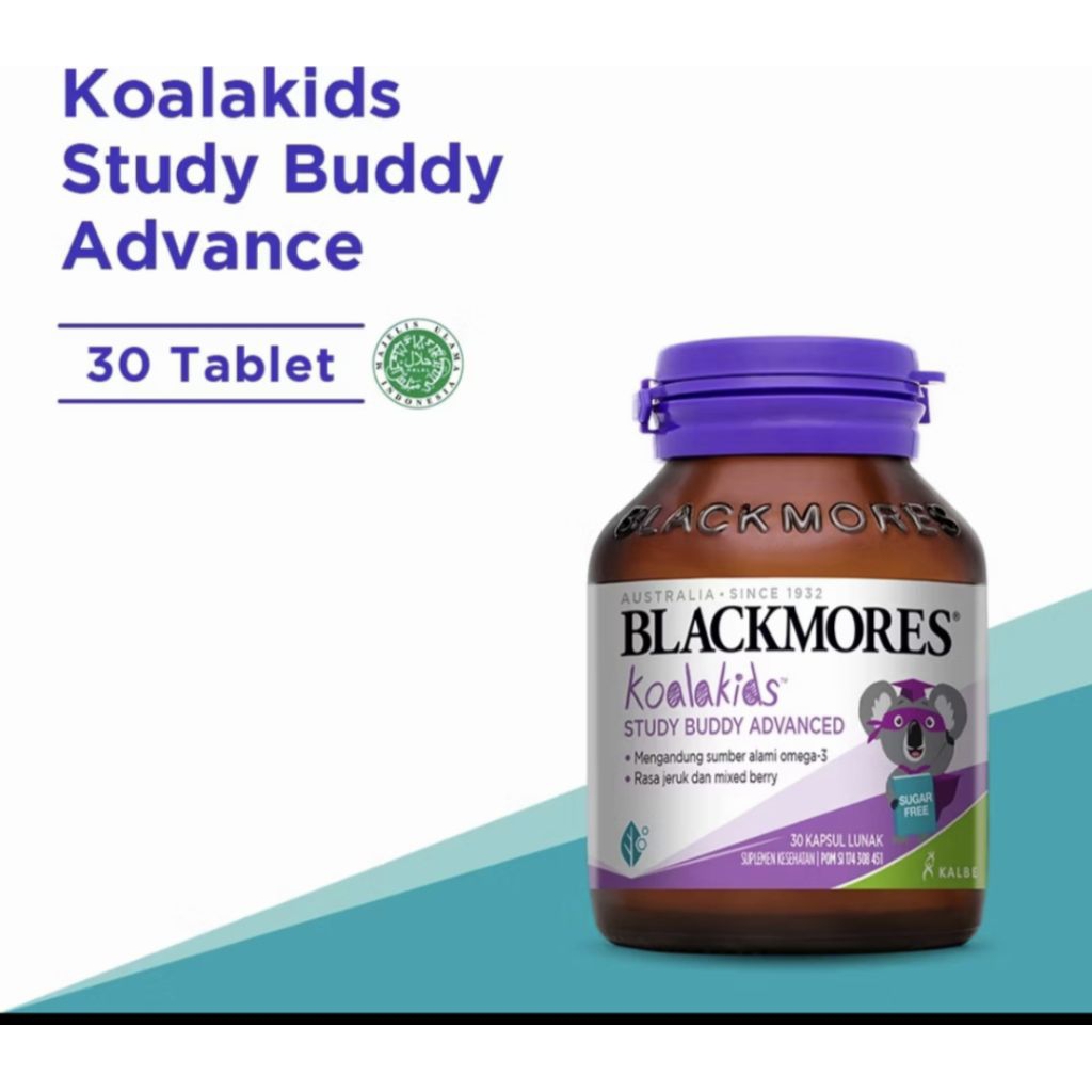 Blackmore koala study buddy advance