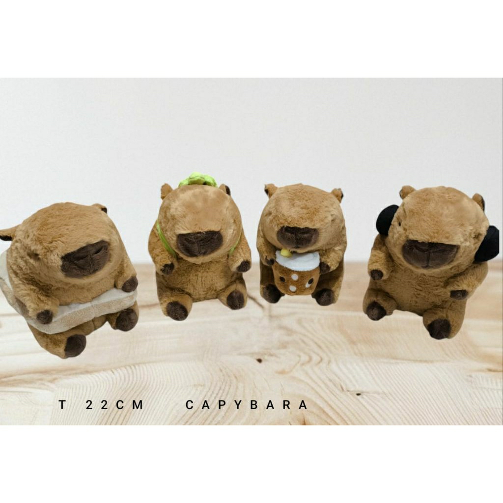 Boneka capybara bulu halus 22 CM
