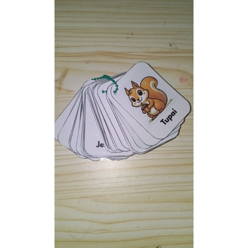 flash card gambar