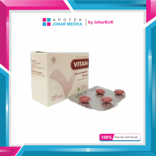 VITAN 250 MG BOX 20 TABLET