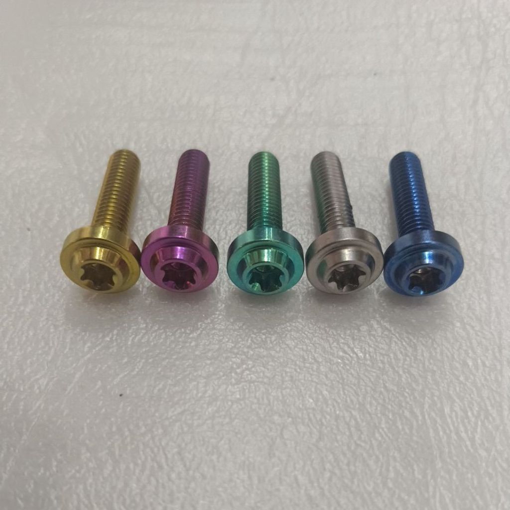 BAUT TITANIUM M6 DARAT 10 ( GRADE 5 )