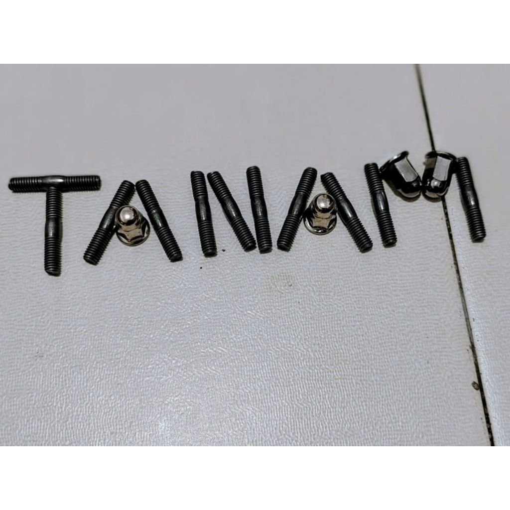 Baut tanam 8x8x56