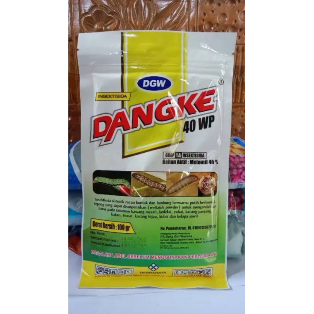 Dangke 100g