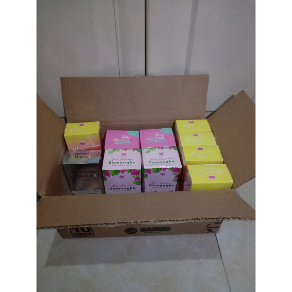 PAKET 10 BOX ALLAMANDA MIX VARIAN