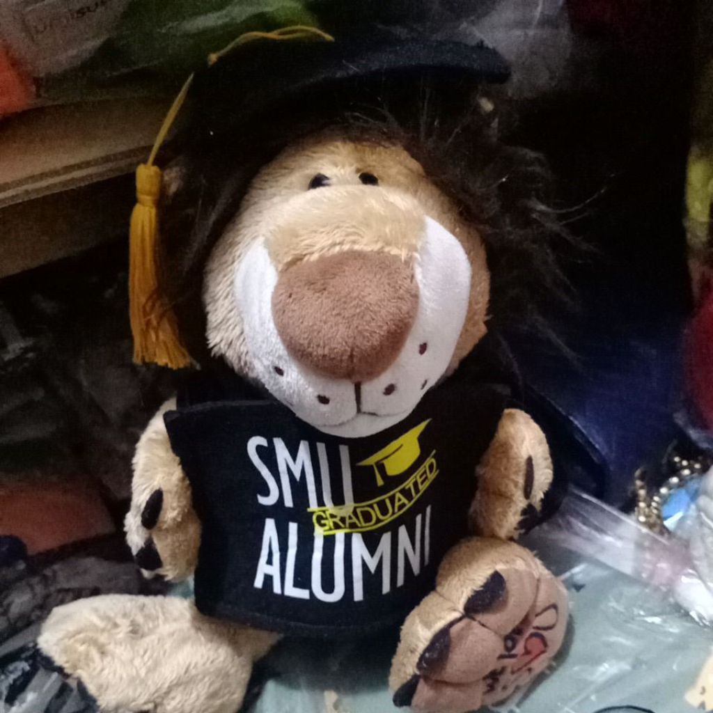 BONEKA WISUDA SMU
