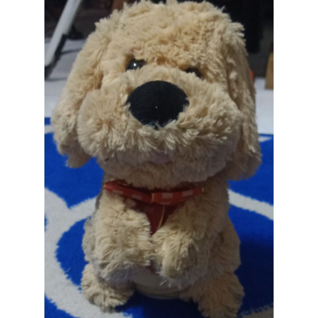 Boneka Anjing'  Lucu PL