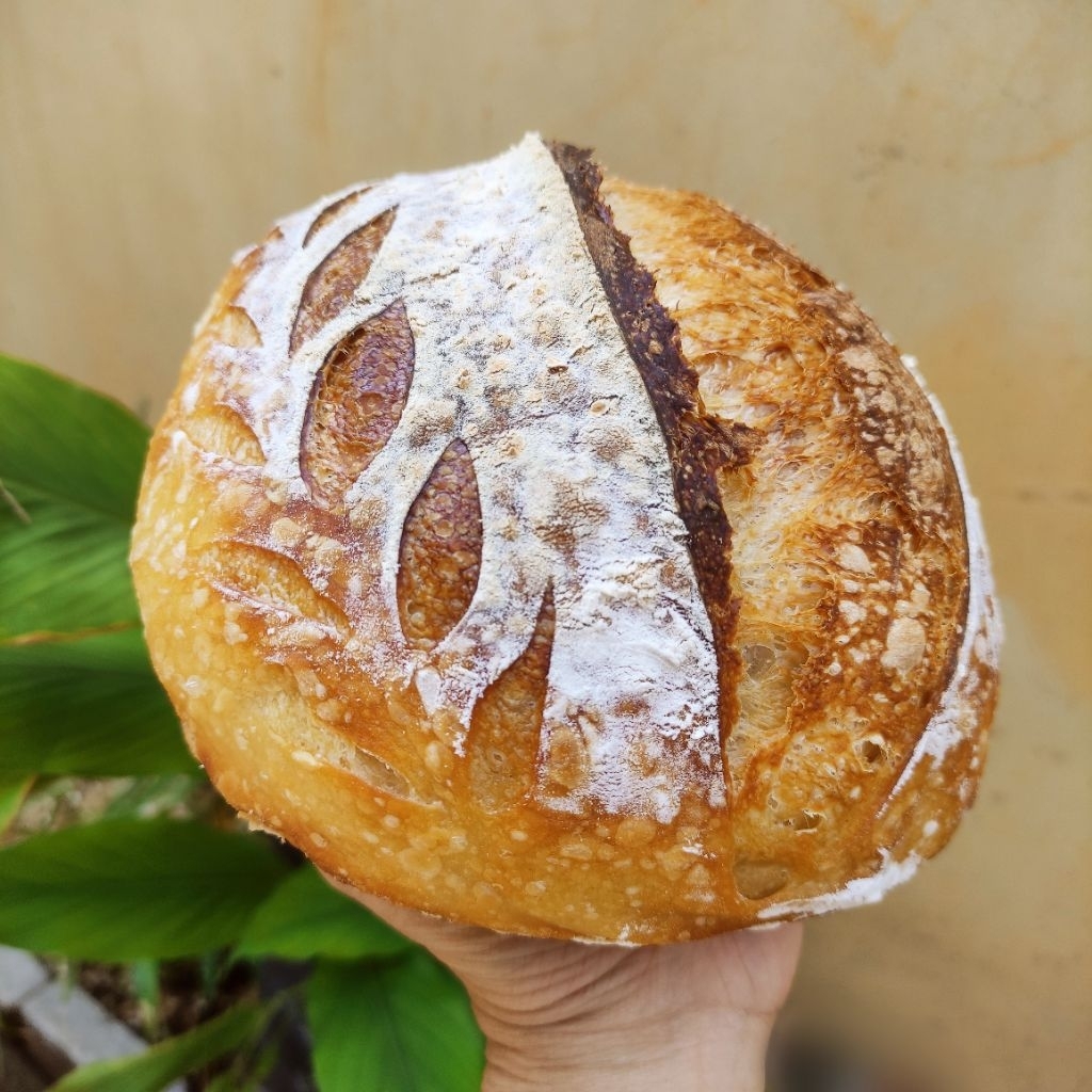 Plain Sourdough Country Bread