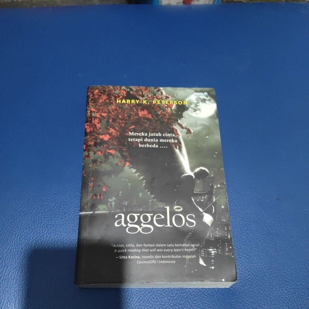 aggelosss