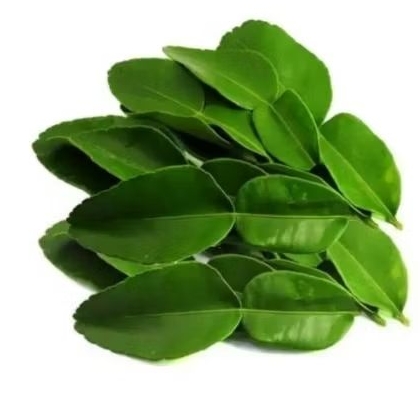 Daun salam 1pack