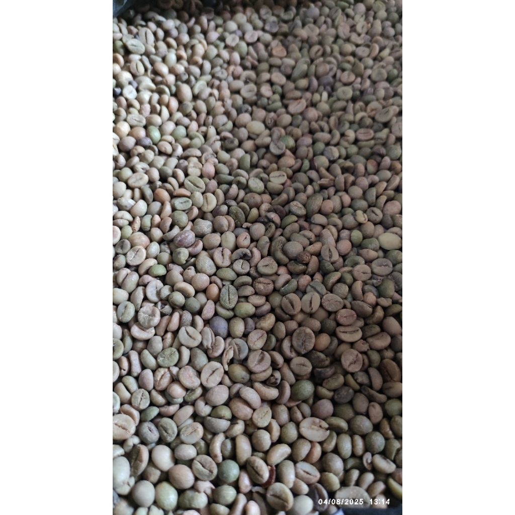 KOPI LANCURAN