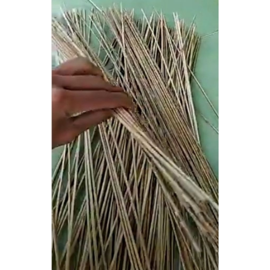 bambu stik bahan layangan 60cm/30pcs