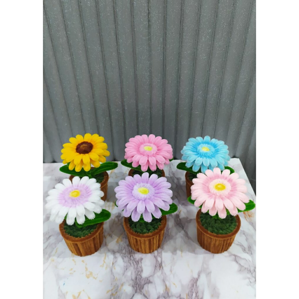 mini pot Gerbera/gift,dekorasi