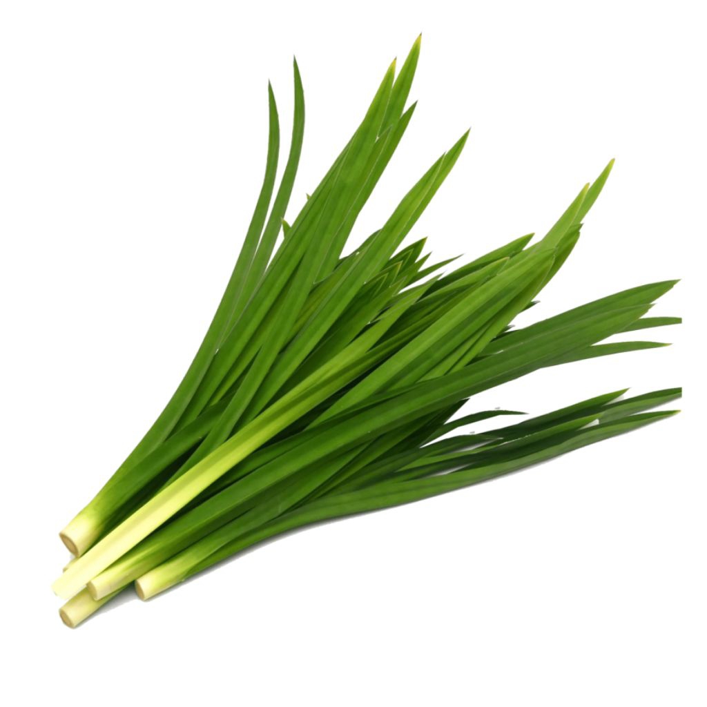 Daun pandan/10 lembar
