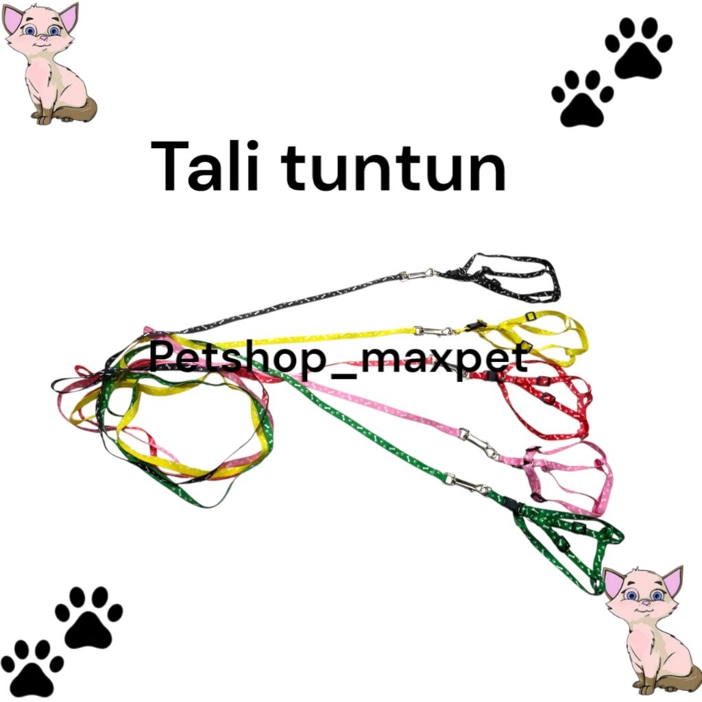 Tali tuntun kucing