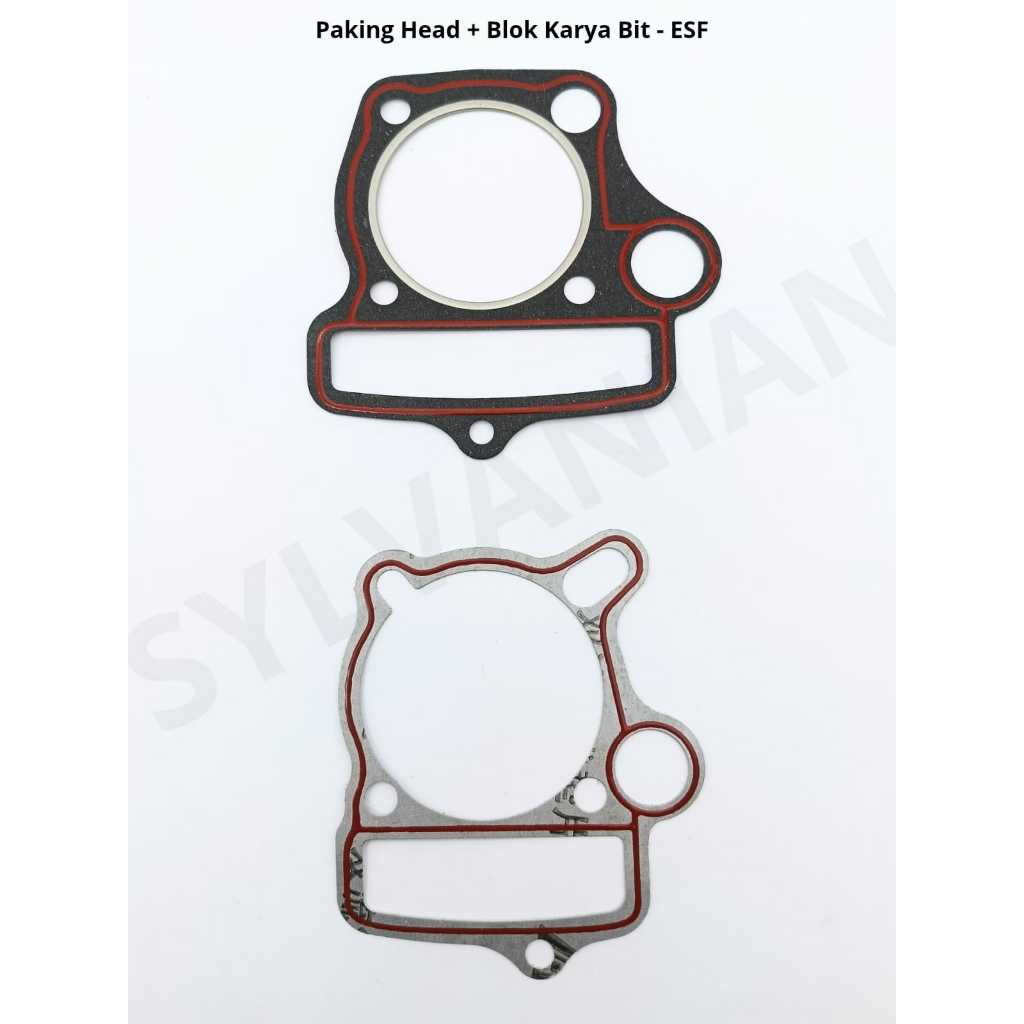 PAKING HEAD + BLOK KARYA BIT - ESF