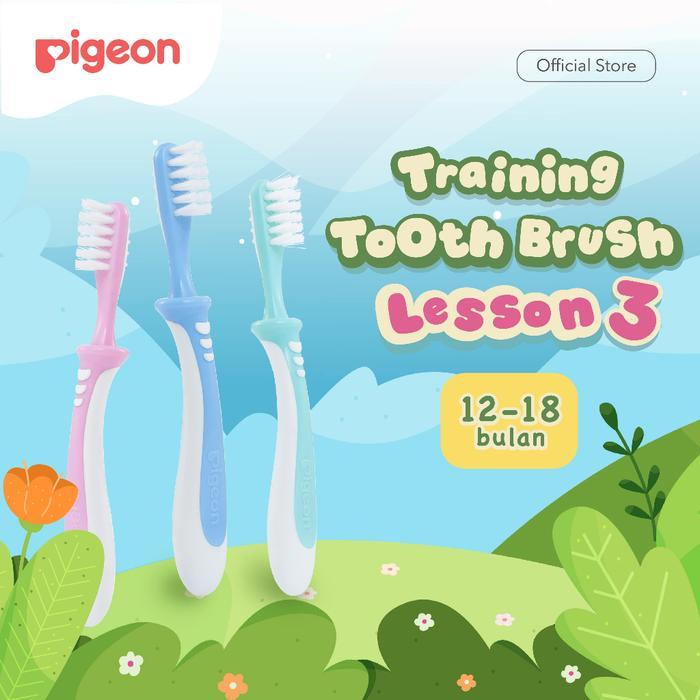 PIGEON TRAINING TOOTHBRUSH LESSON 3