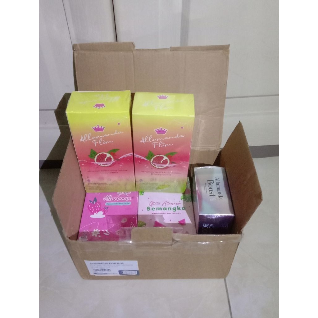PAKET 5 BOX ALLAMANDA MIX VARIAN
