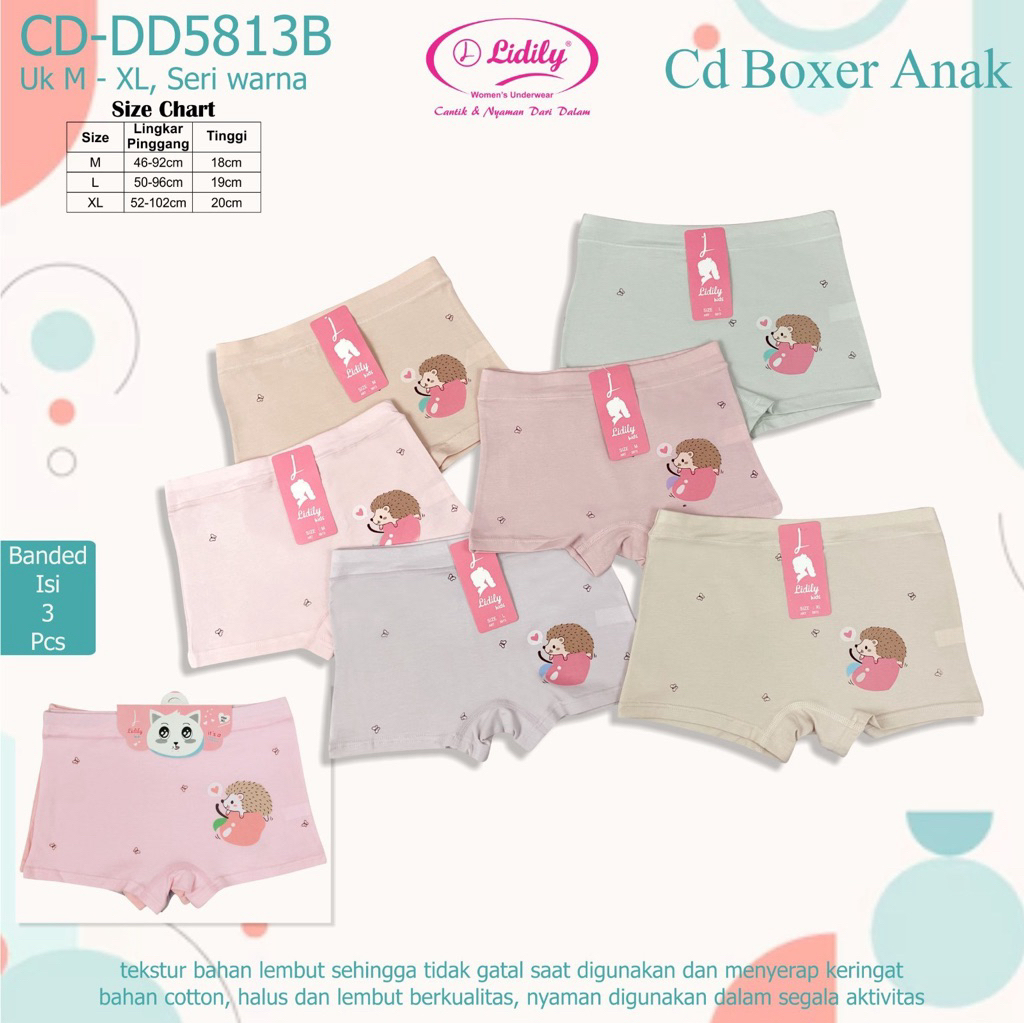 Lydyly 5813 anak