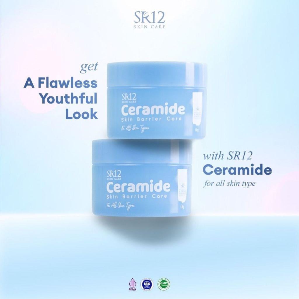 SR12-Paket Basic Flek