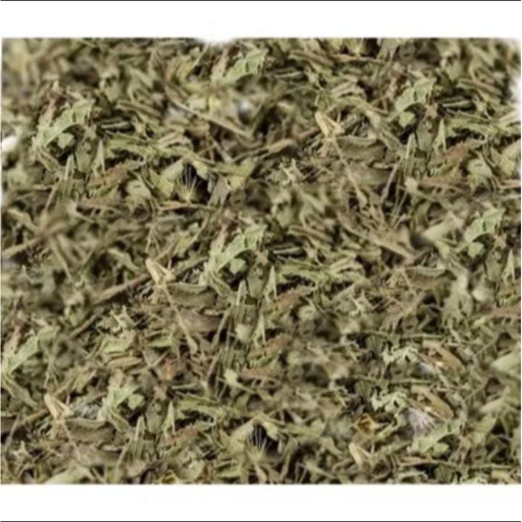 Daun Stevia Kering 100gr
